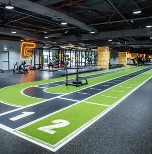 Gymnation Track