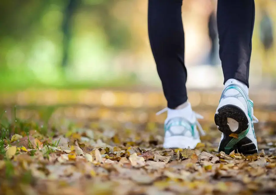 Walking 