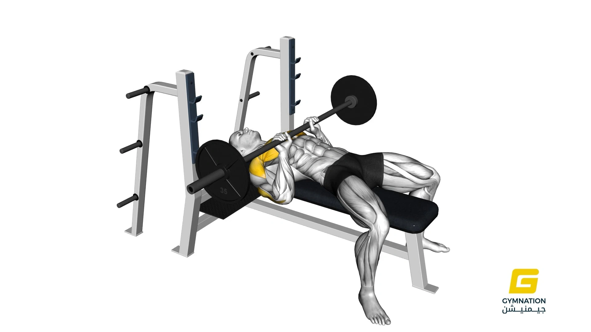 Barbell Close Grip Bench Press Thumb