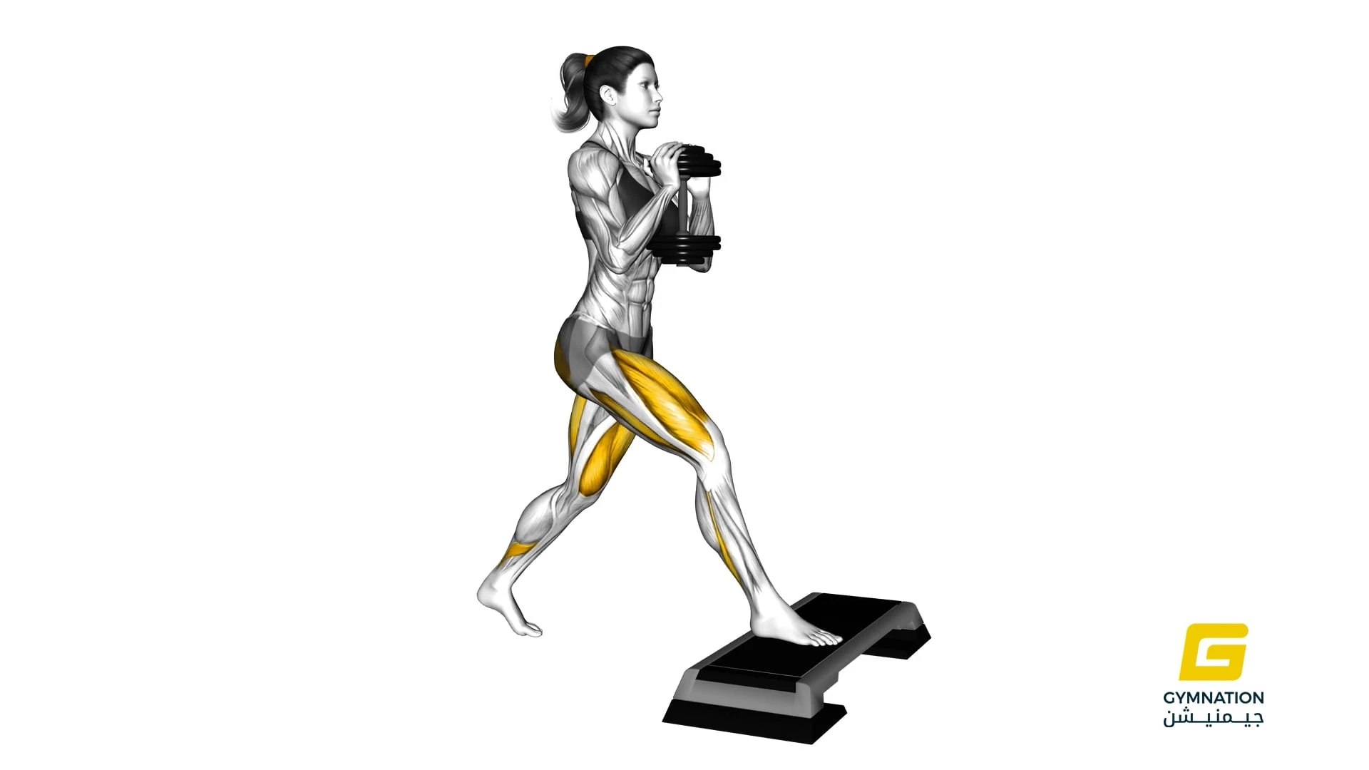 Dumbbell Goblet Split Squat Front Foot Elevated Thumb