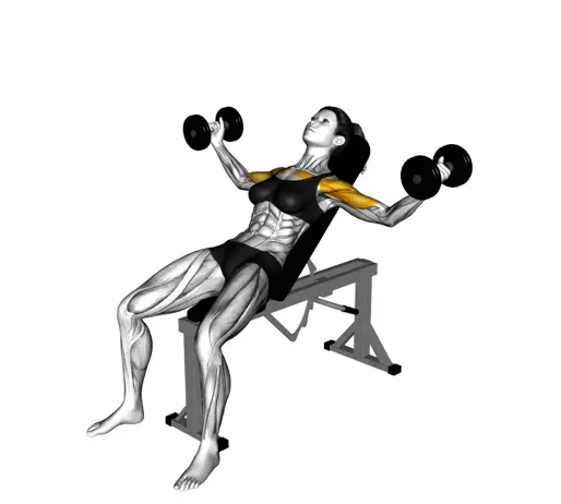 Dumbbell Incline Fly For Ladies Thumb