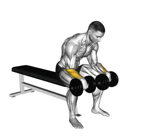 Dumbbell Reverse Wrist Curl Thumb
