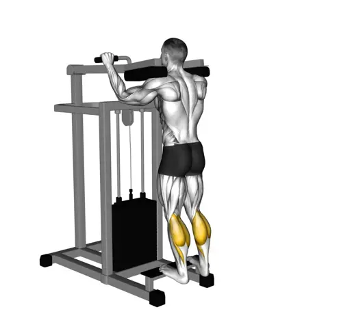 Lever Standing Calf Raise Thumb