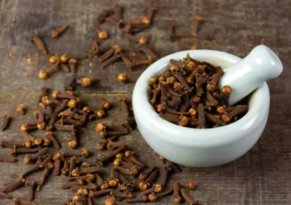 مدقة سيراميك بيضاء صغيرة مليئة بالقرنفل، مع وجود المزيد من حبات القرنفل المتناثرة على سطح خشبي ريفي، مما يوحي بفوائد القرنفل قبل النوم وتأثيره على الجسم.