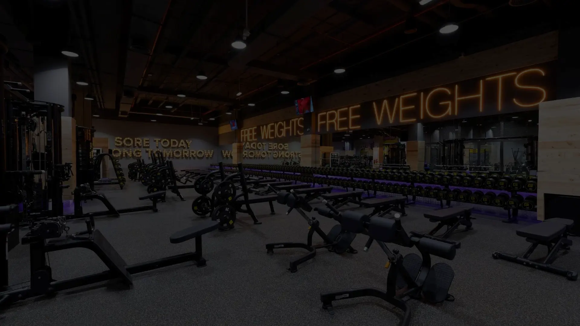 Gymnation Exercise