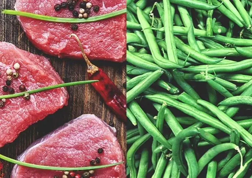 Protein Plant Vs Animal 960X540 V2