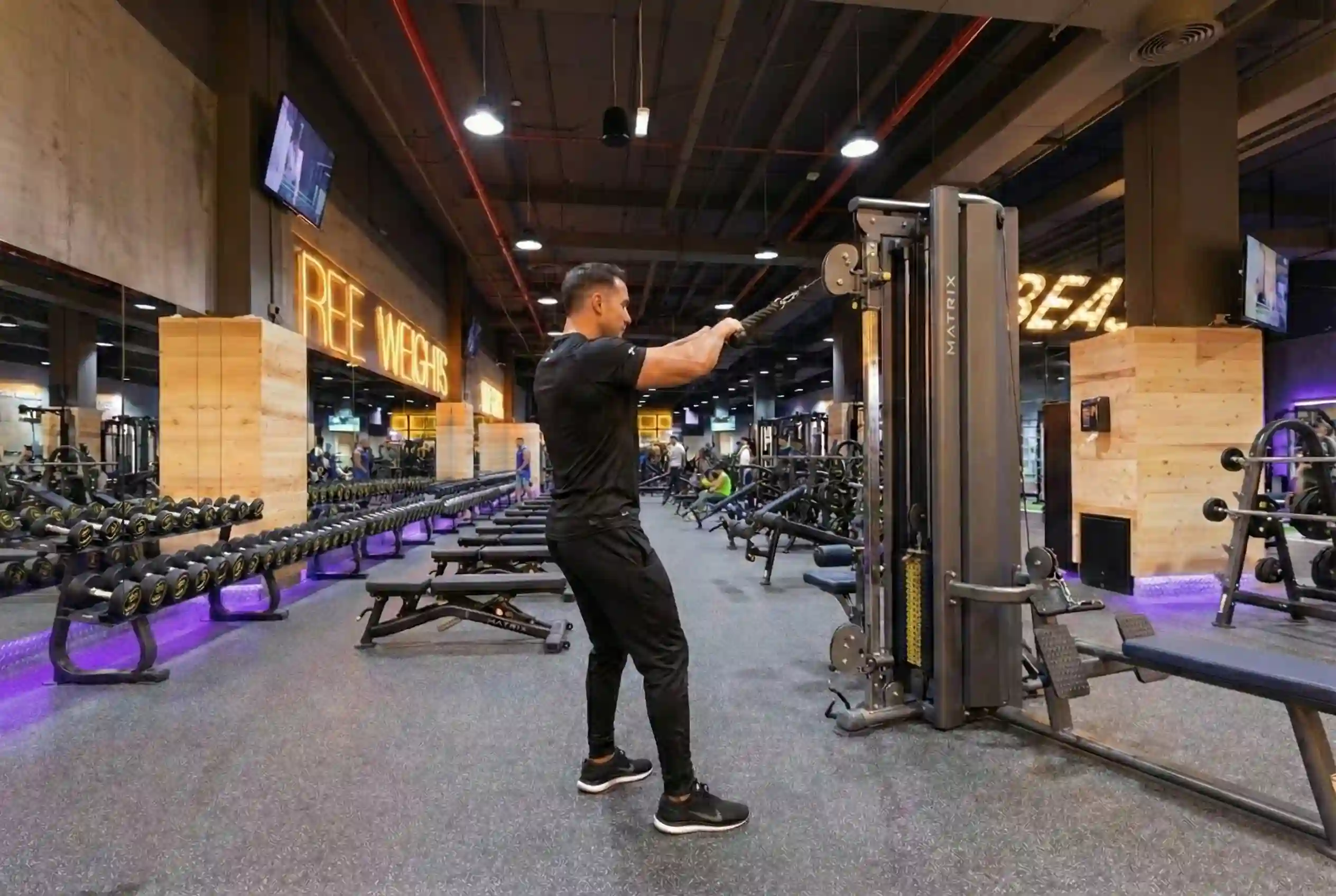 Cable Standing Face Pull