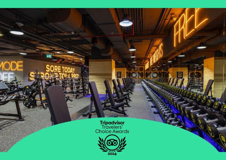 Gymnation Recognized As A Traveler Favorite