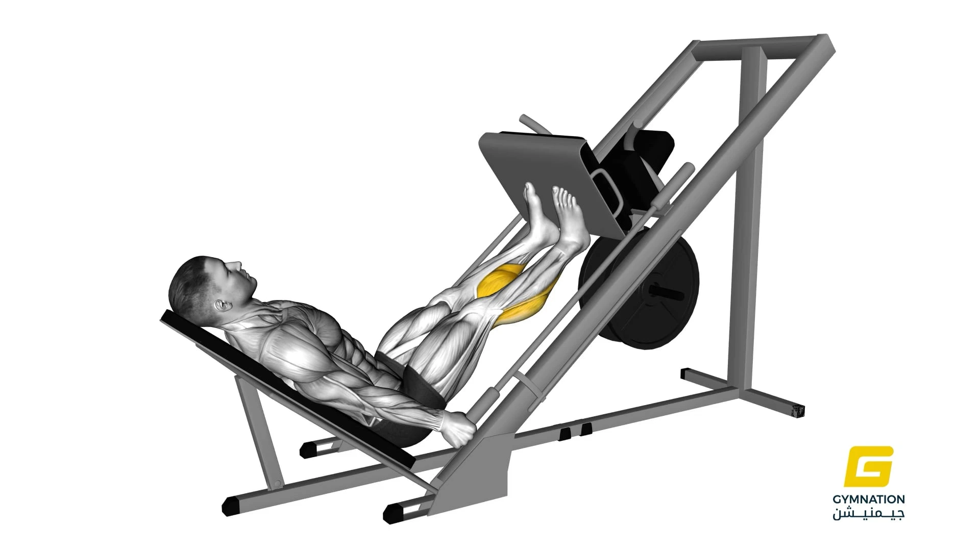 Sled 45 Calf Press Thumb