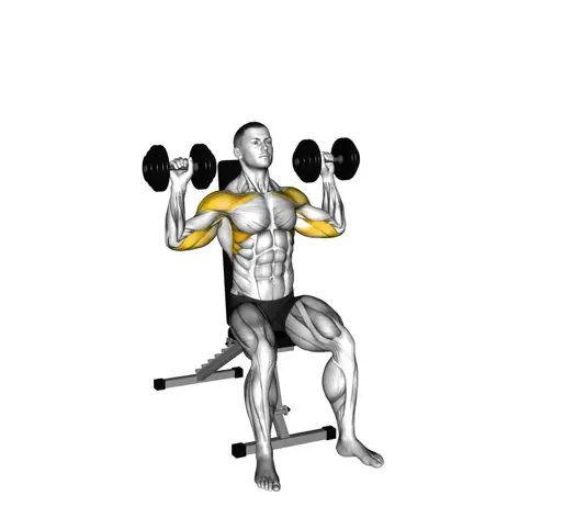 Dumbbell Seated Shoulder Press Thumb