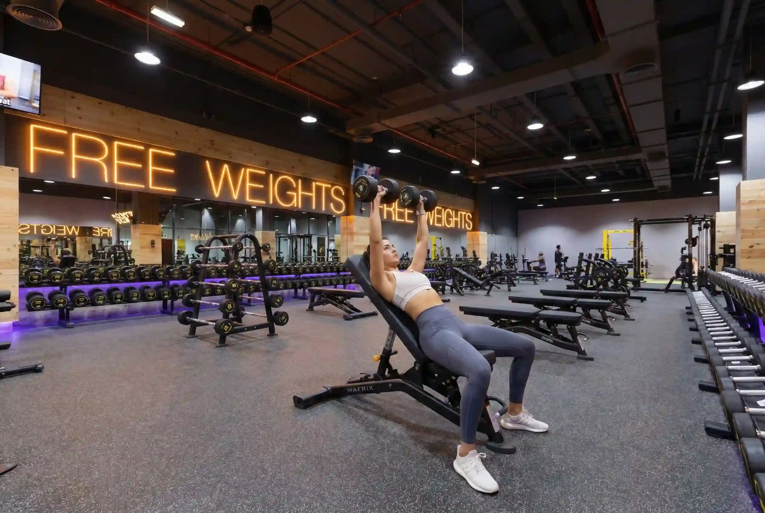 Dumbbell Incline Bench Press For Ladies