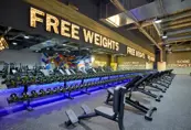 Gymnation Sharjah Central Ladies Gym Free Weights Area
