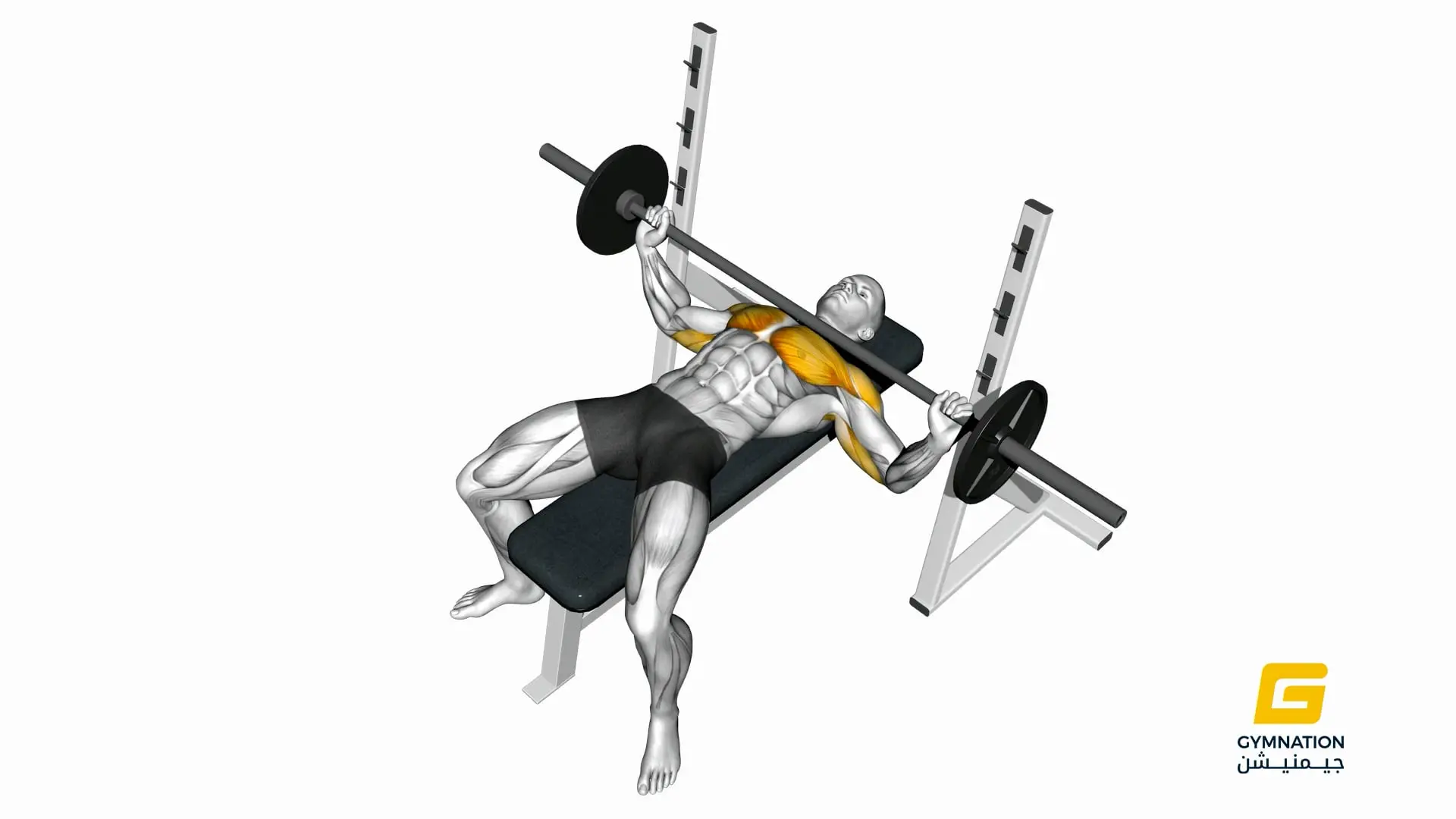 Barbell Wide Bench Press Thumb