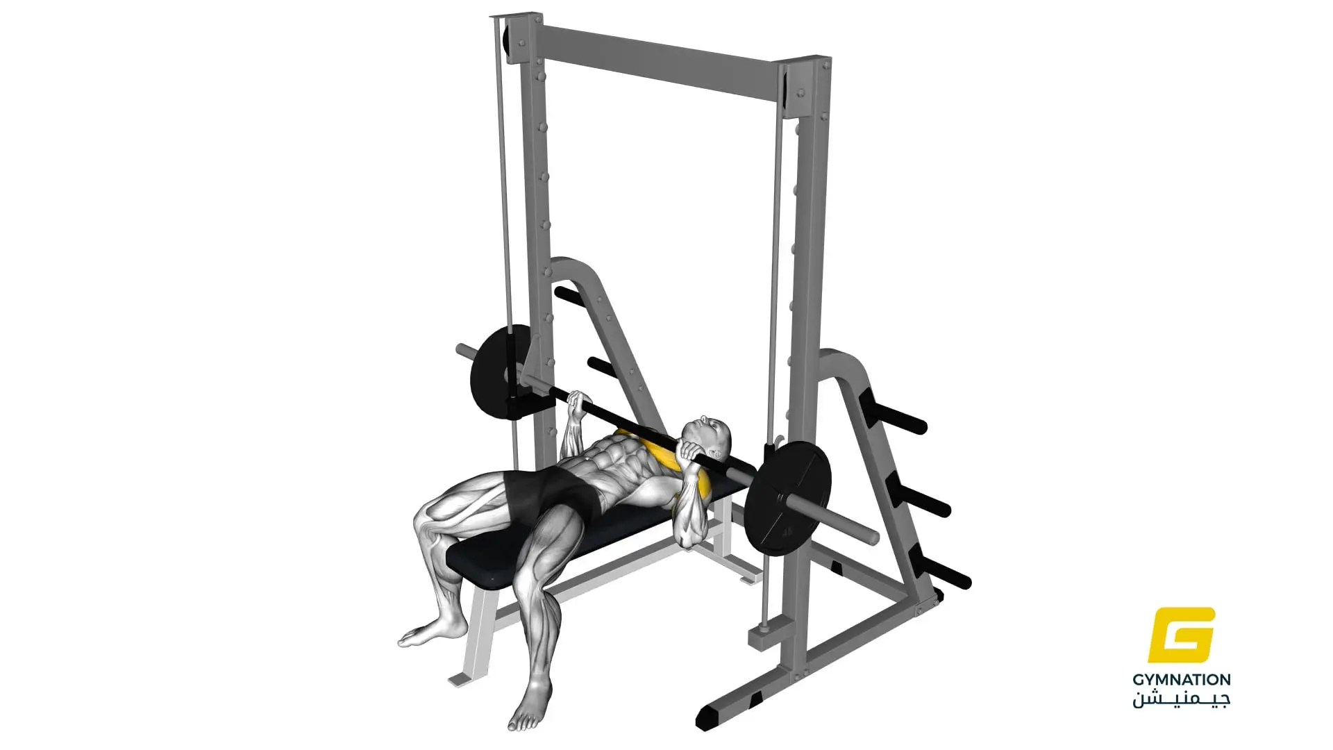 Smith Bench Press Thumb