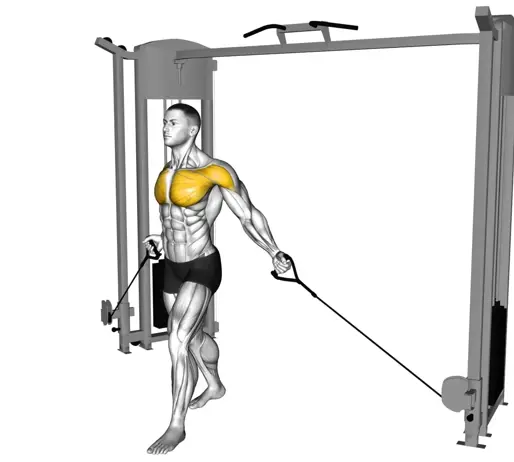 Cable Low Fly Thumb