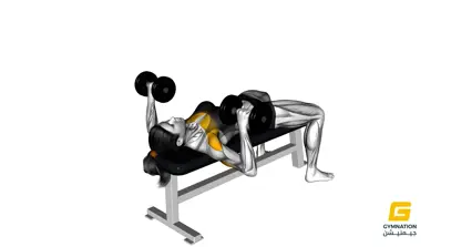 Dumbbell Bench Press Thumbnail (1)