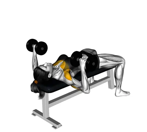 Dumbbell Bench Press Thumbnail (1)