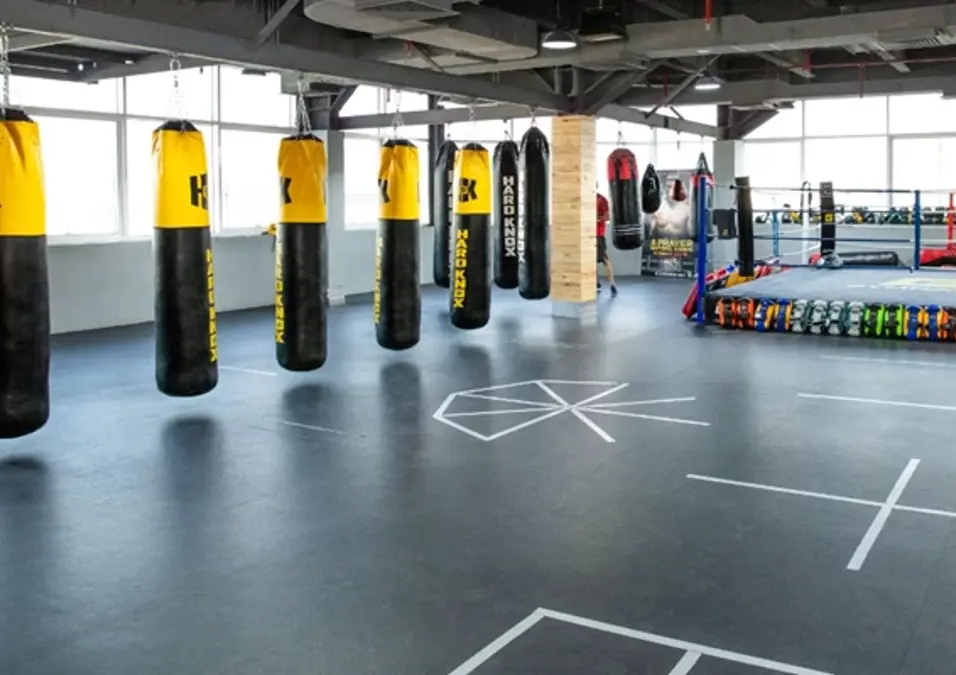 Aq Boxing Small