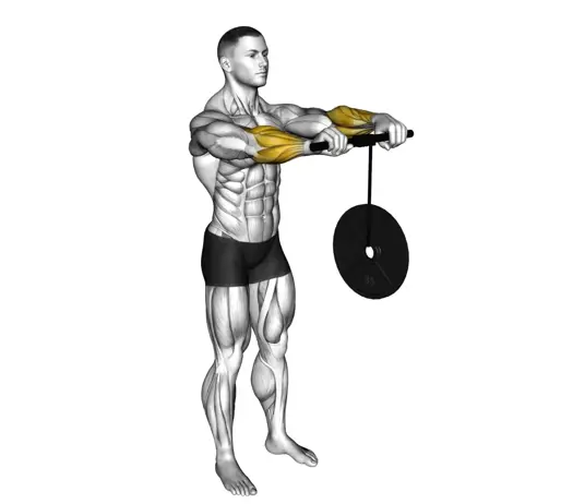 Wrist Roller Thumb