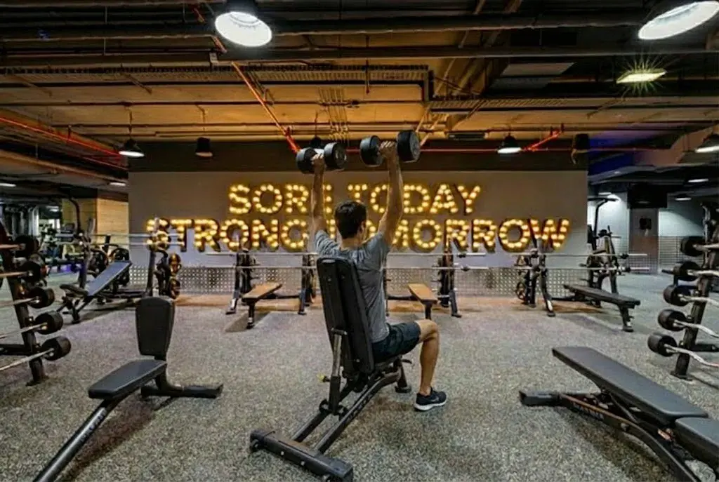 Dumbbell Bench Seated Press