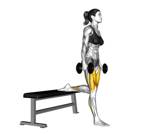 Dumbbell Bulgarian Split Squat For Ladies Thumb