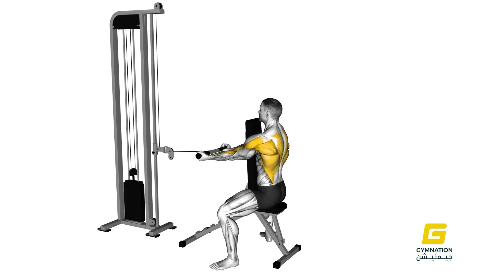 Cable Front Seated Row Thumb