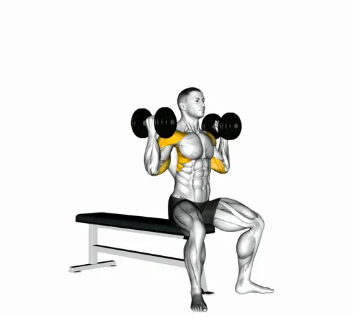 Dumbbell Arnold Press (Version 2) Thumb