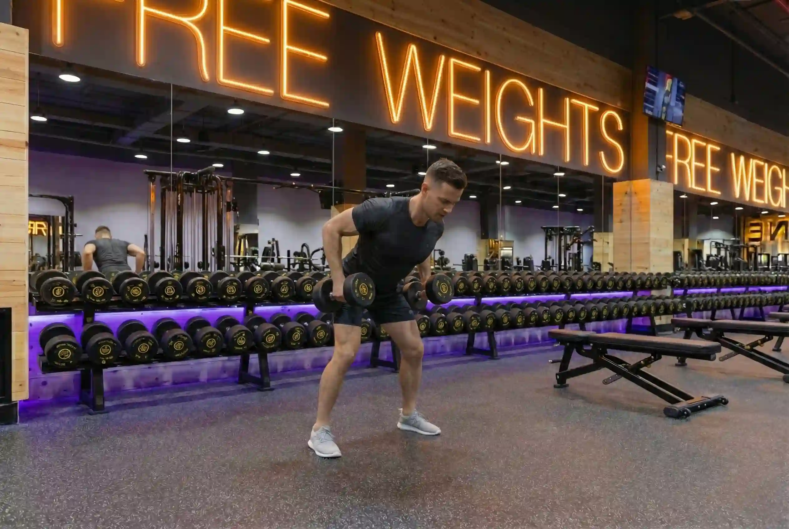 Dumbbell Bent Over Row