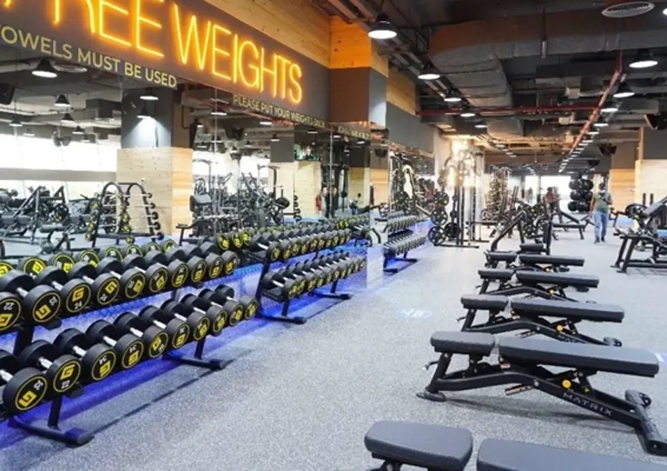 Gymnation Motor City (1)