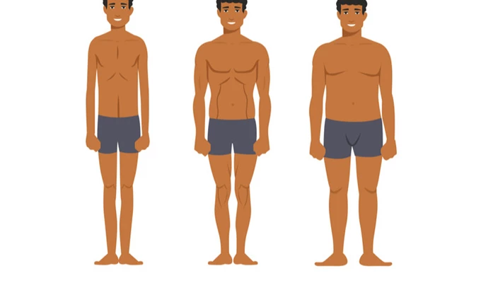 A guide to body types, Weight loss