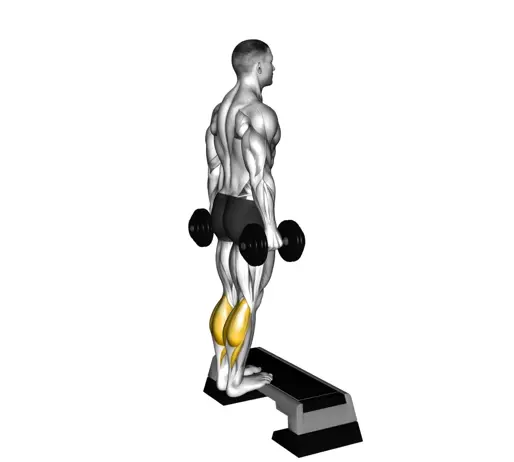 Dumbbell Standing Calf Raise Thumb