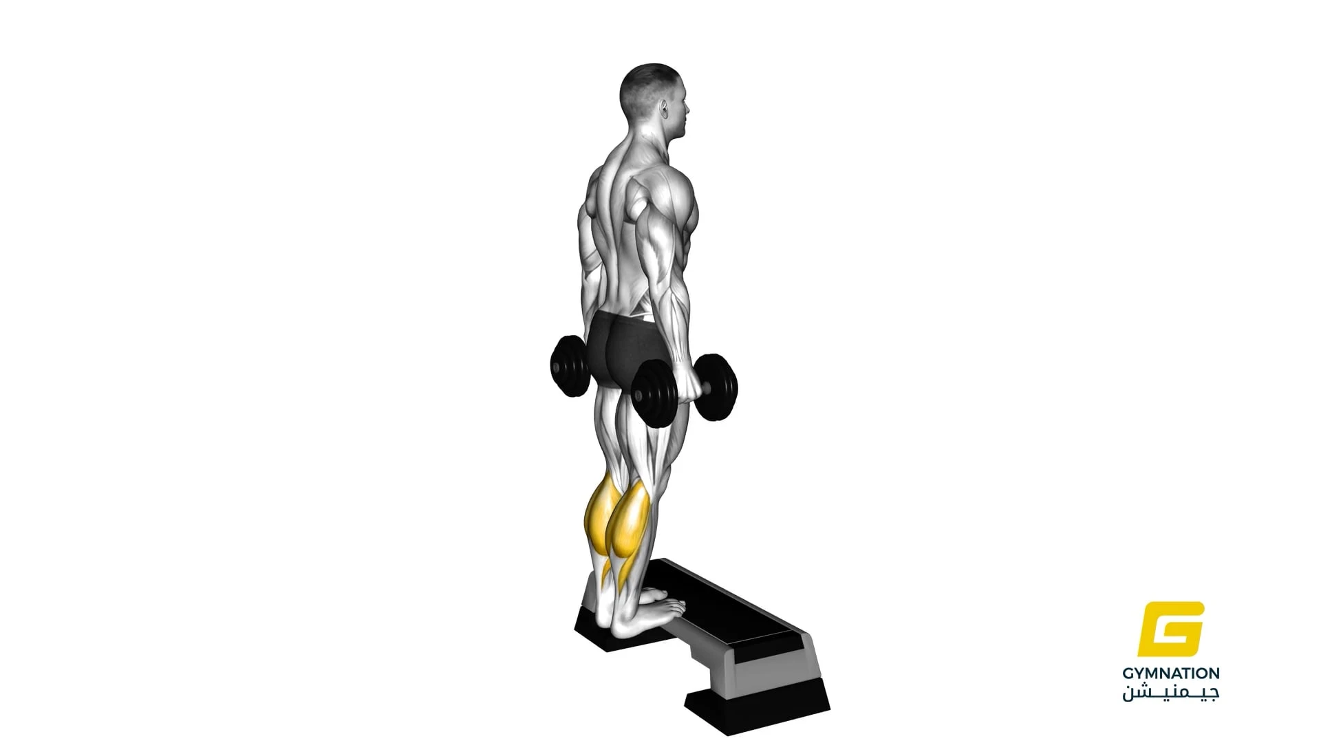 Dumbbell Standing Calf Raise Thumb