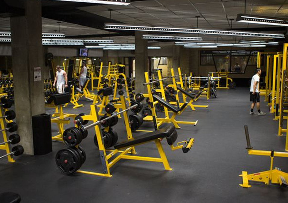 Elite Fitness